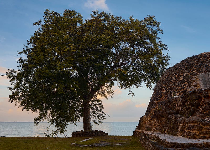 Cerros Archaeological Site in Northern Belize