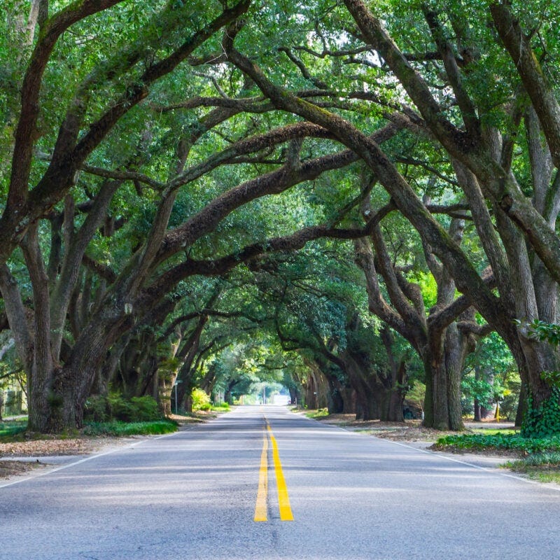 Why Move to South Carolina?. South Carolina has been ranked 2 for