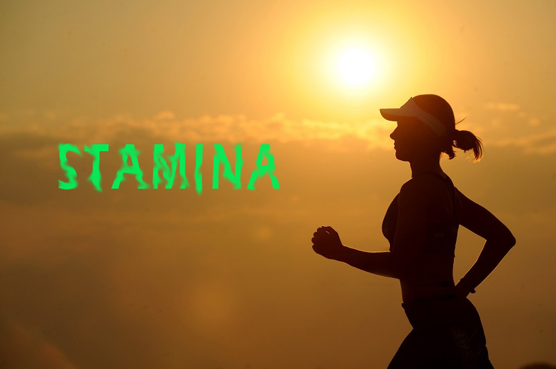 Why Does Stamina Improve Quickly When You Do Cardio? by Hemanth Medium