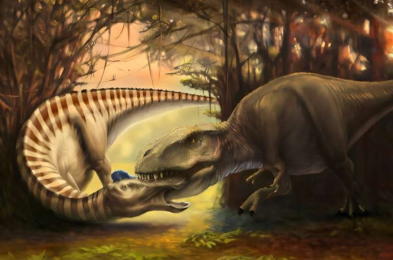 Rare fossil at Montana museum records Tyrannosaurus attack