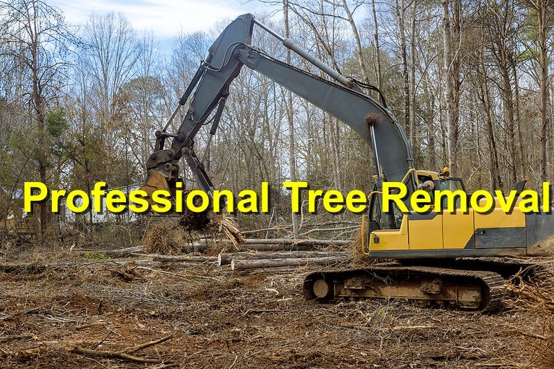 Tree Removal Pickering