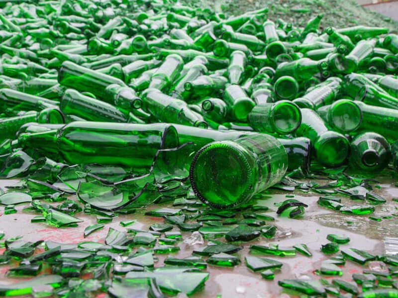 Agro Forestrium Tanaman Penetralisir Dan Pembersih Limbah Kaca Dari Hutan Nusantara (Glass Waste)