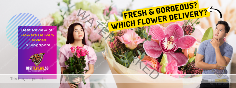 Best Online Florist Singapore, Same-Day Delivery