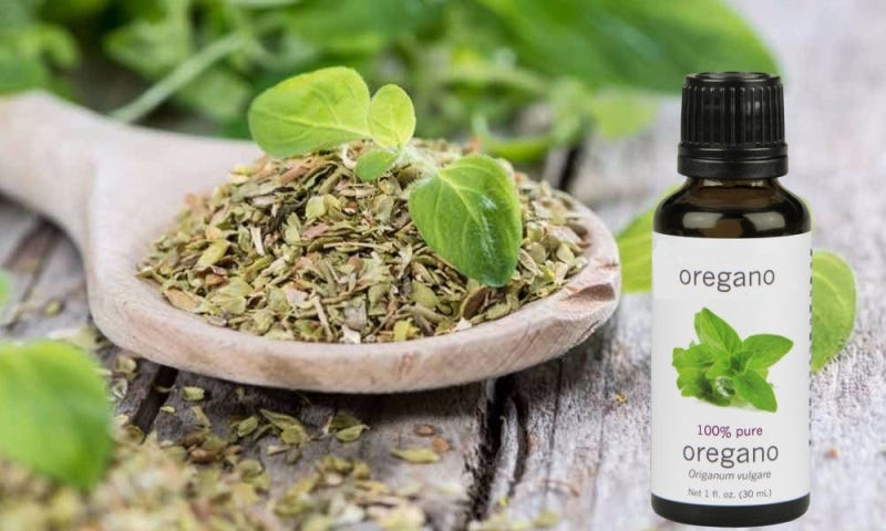 Oregano oil for skin deals