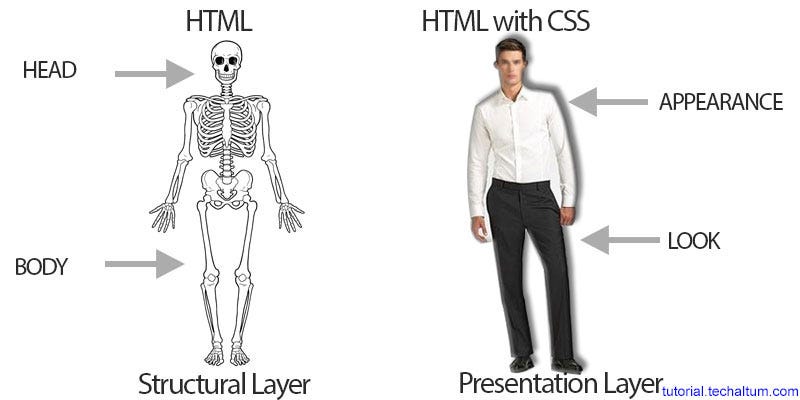 The Art of Web Design: A Journey through HTML and CSS | by sourabh ...
