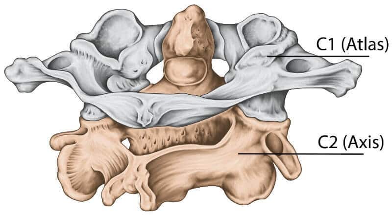 Atlas One Cervical 1 Alignment