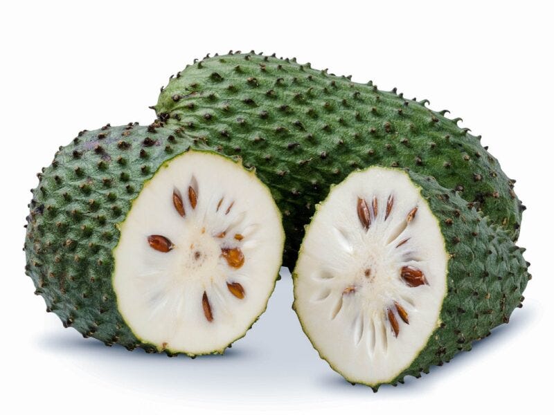 Can Dogs Eat Soursop?. No, dogs shouldn’t eat soursop. Soursop… | by