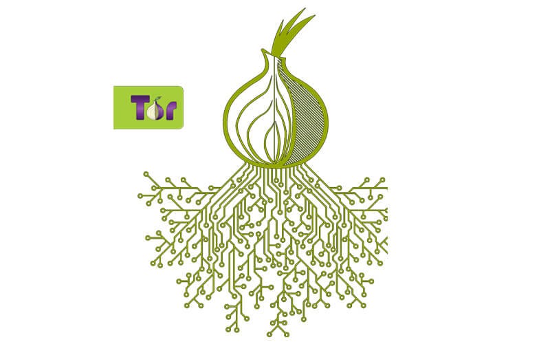 What Is The TOR Project? | by d‘wise one | Chip-Monks | Medium