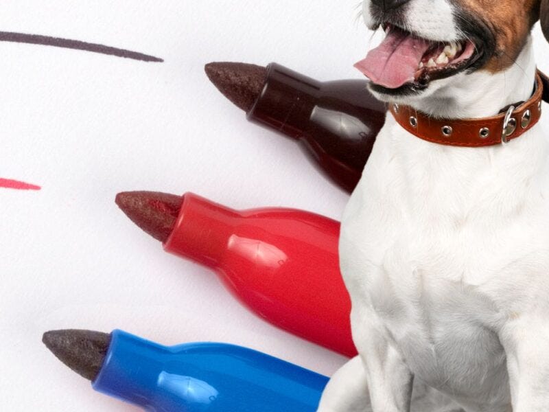 Is Sharpie Toxic to Dogs?. Dogs , can you use Sharpie? Find out… by