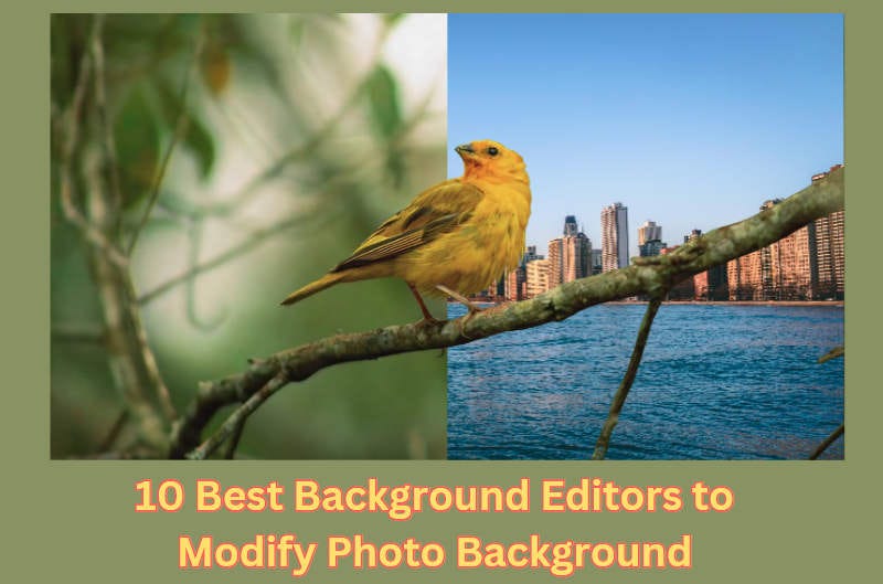 10 Best Background Editors to Modify Photo Background | by Ruby | Jul ...
