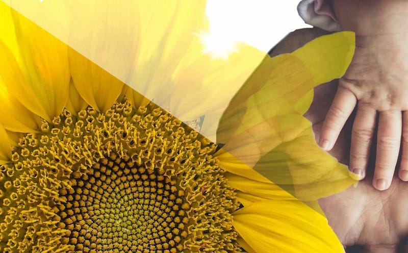 Summer Solstice 2026 Guided Meditation & Fathers Day Blessing