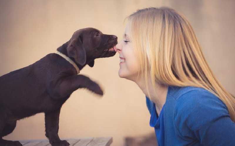 Why Does My Dog Lick Me?. Let’s take a look at the true reasons… by