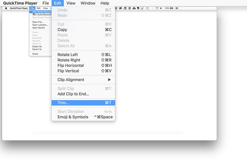 How Can I Edit a Quicktime Video Quick & Easy Steps by Sophia Wilson