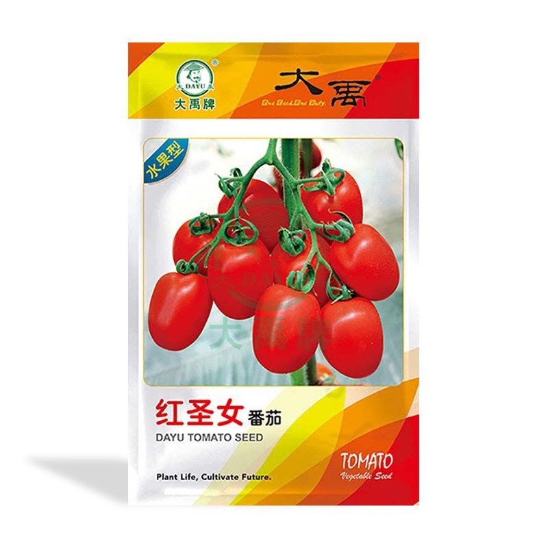 How long tomato seeds germinate?. Under ideal conditions, tomato seeds