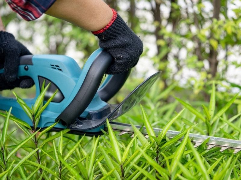 2 Types Of Hedge Trimmers Based On The Power Source by Claudiamheller