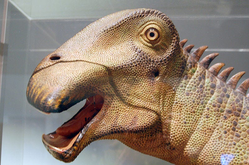 The Dinosaur With 500 Teeth You've Probably Never Heard of | by David Majister | Medium