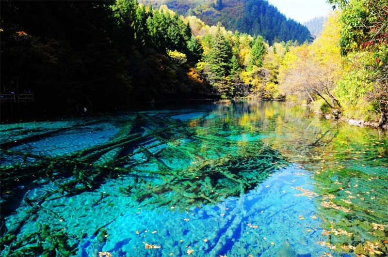 去四川九寨溝旅遊需要多少錢？全方位費用與攻略指南
