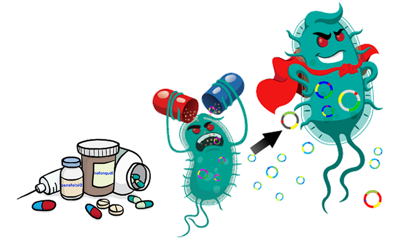 Resistencia antimicrobiana en la Amazonía peruana: cuando el “antibiótico de siempre” deja de…