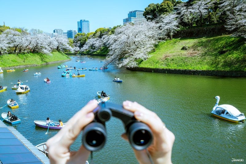 Binoculars in Japan: The Easy Way to Enhance Birdwatching, Concerts, & Travel Experiences