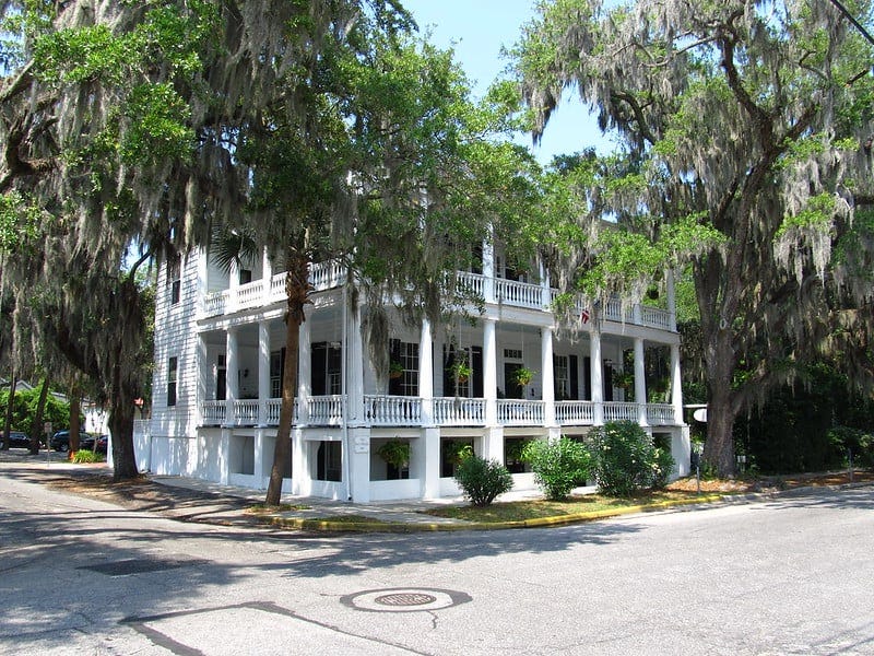 Eleven facts you need to know about Spanish Moss - Explore Beaufort SC