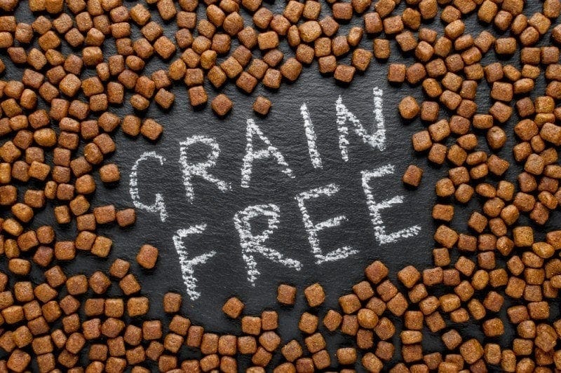 Benefits of grain free dog food sale