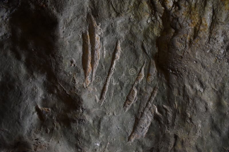 🪨 Scratches on a Cave Wall
