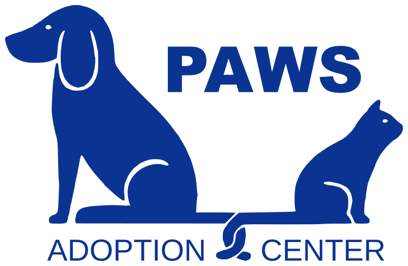 Dog in Adoption Center Finding Your Perfect Furry Friend by Pauline