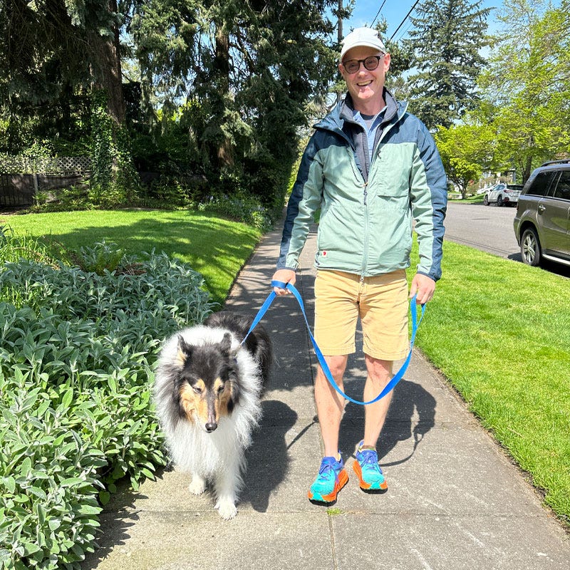 Understanding the Role of a Dog Behaviorist Your Canine’s Best Friend