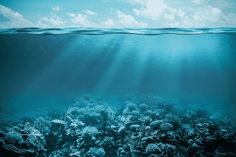 ¿Por qué gran parte de los océanos permanecen sin explorar?