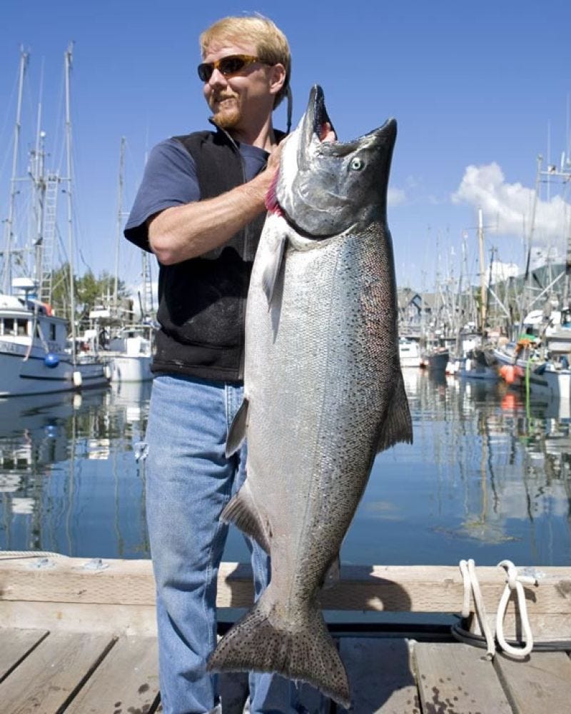 The Halibut Mooching Secrets the Guides Don’t Want You to Know | by ...