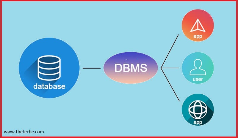 DBMS Explained to a 10 year old.. A Database Management System (DBMS ...