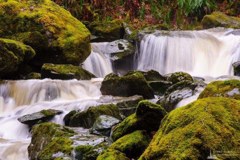Moss covered rocks near waterfall in rains forest.