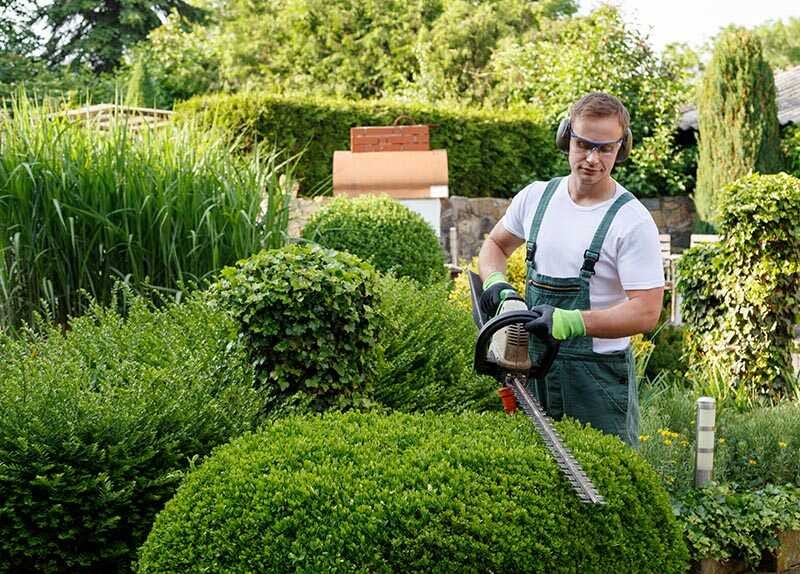 Über uns Fabians Garten Medium
