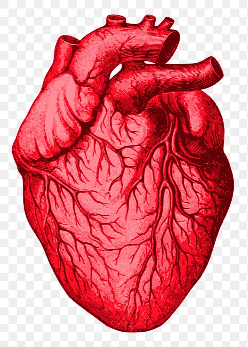 how-to-reduce-blood-pressure-and-choletrol-by-aqeel-aftab-sep-2023