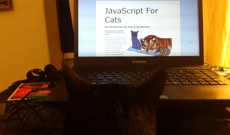 Un poco de JavaScript para la gente | by LinuxChix Argentina | Medium