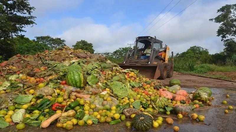 O agro descarta comida para manter preços altos