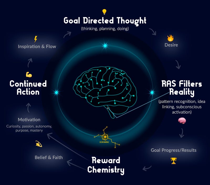 The Manifestor’s Guide to Understanding the Neuroscience of Goal