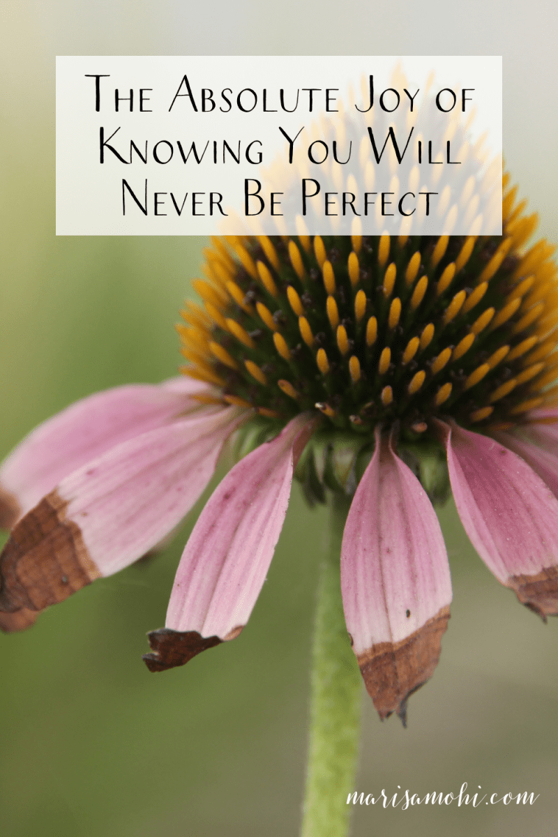 The Absolute Joy of Knowing You Will Never Be Perfect by Marisa Mohi