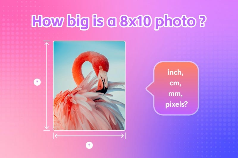 How Big is a 8x10 Photo Dimensions in Inches, CM, MM & Pixels by