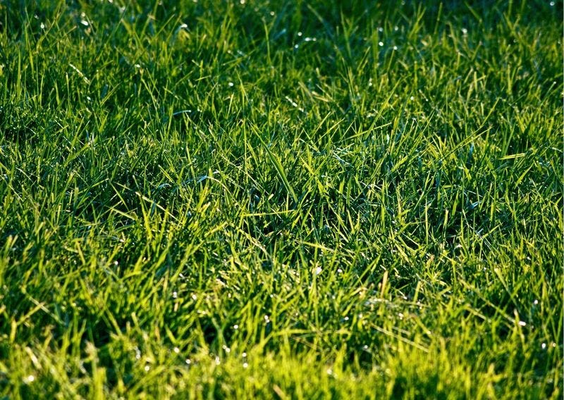 how-much-does-lawn-mowing-cost-in-miami-florida-by-eden-landscaping