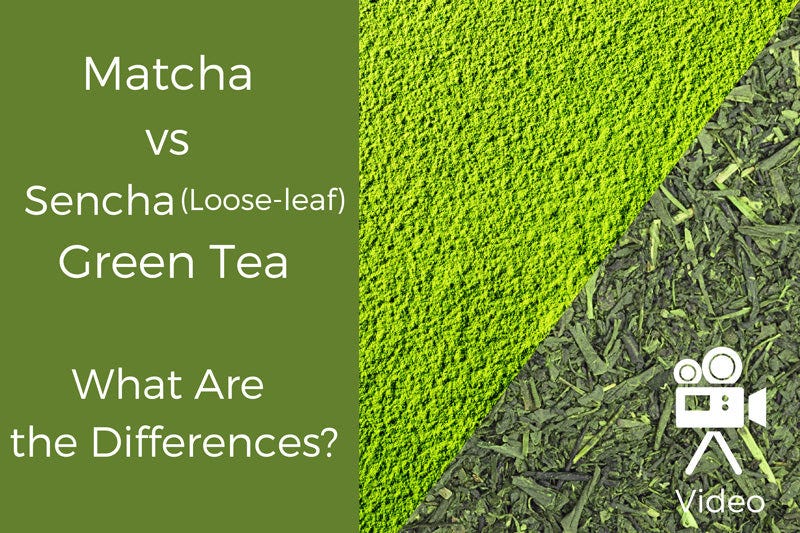Matcha vs Sencha (Looseleaf) Green Tea What Are the Differences? by Kei Nishida Medium