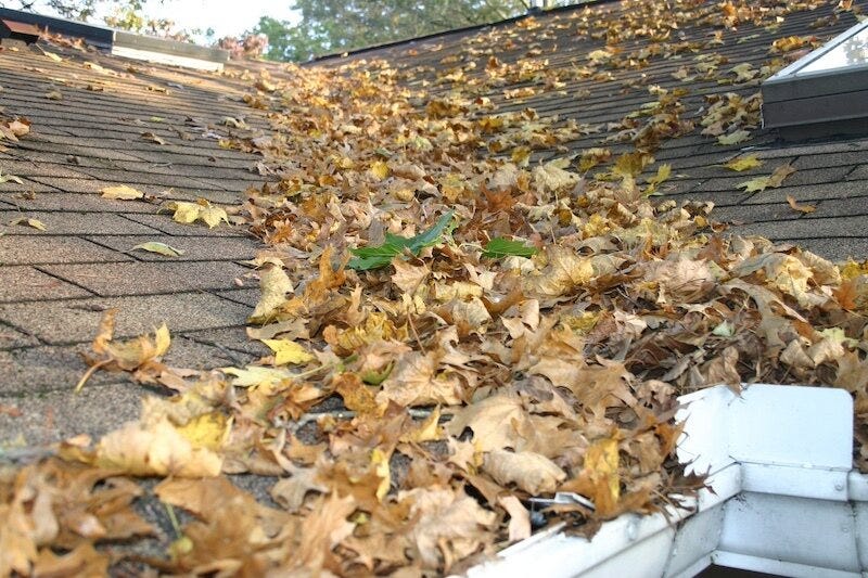 How to Prepare Your Glenbrook Gutters for Storm Season