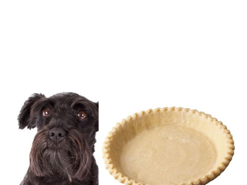 Can Dogs Eat Pie Crust?. Pie crust is safe for dogs to eat in… by