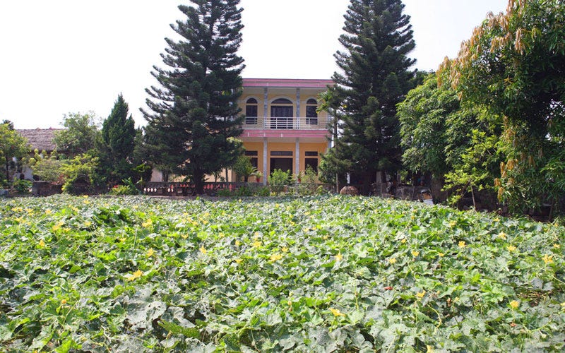 Hiep Homestay in Tam Coc — Ninh Binh | by Rober Dombale | Medium