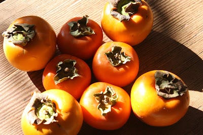 Japanese Persimmon — The Essential Guide to Probably Everything