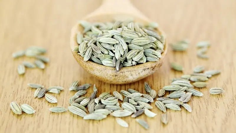 Biji Adas : Rempah Aromatik dengan Segudang Manfaat untuk Kesehatan dan Kuliner