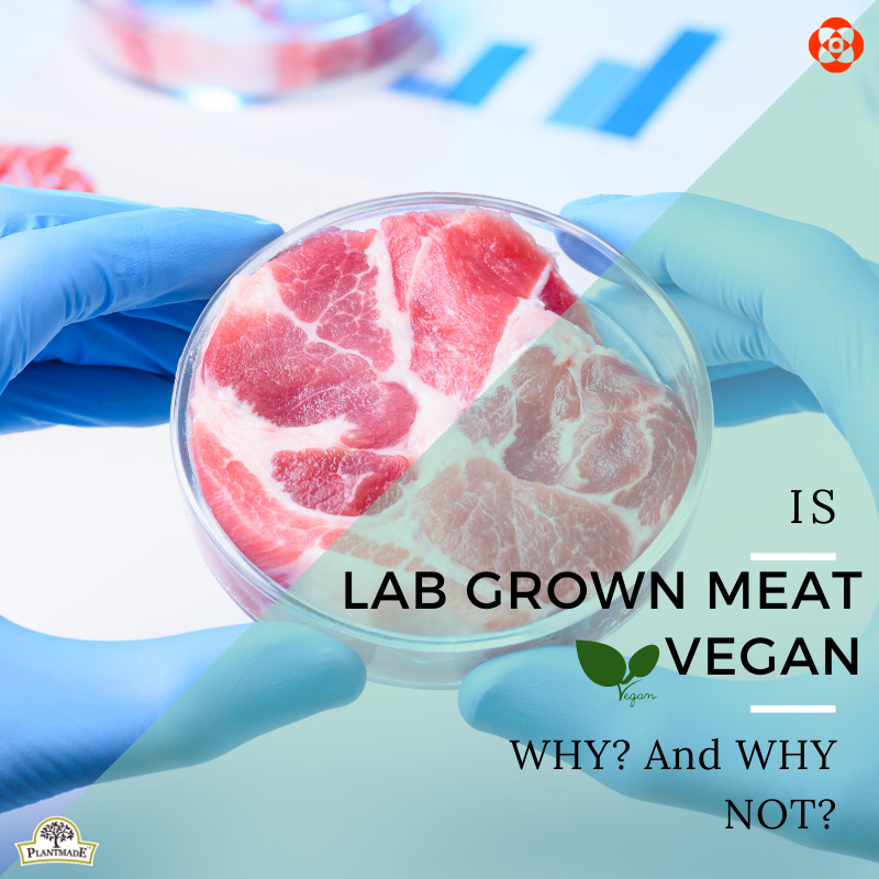 Is LabGrown Meat Vegan? Why Not? by Poonam Gupta Plantmade Medium