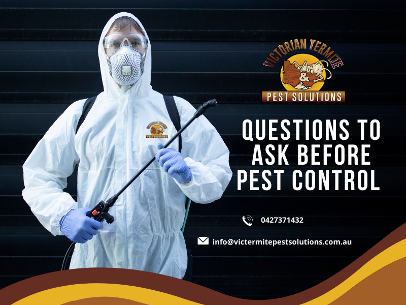 Top Questions To Ask During House Inspection For Pest Control In ...