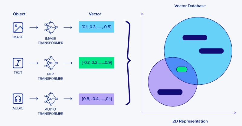 Searchable Vector Database Visualized Demystifying Vector Databases: The Backbone of Modern AI Search and ...