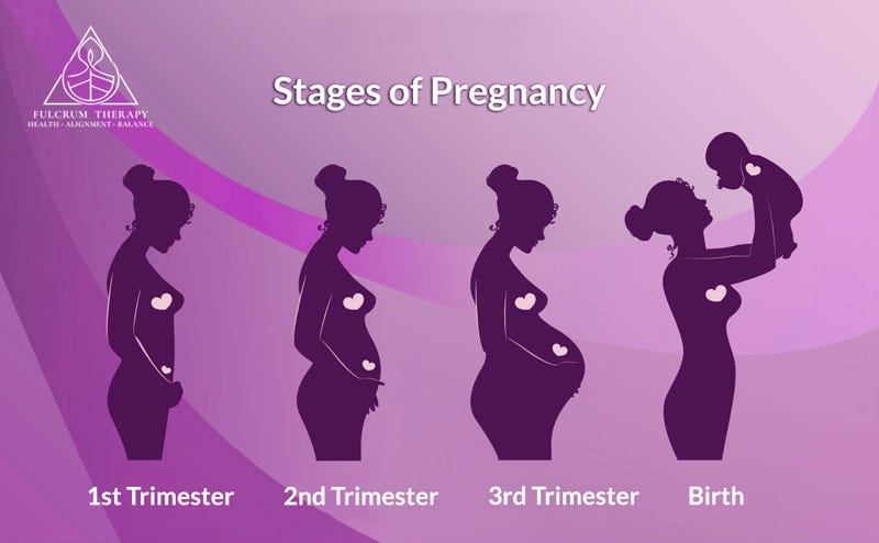 First Trimester: 101 Guide to the First 13 Weeks of Pregnancy, by Dr  Kimiya Sabbaghan